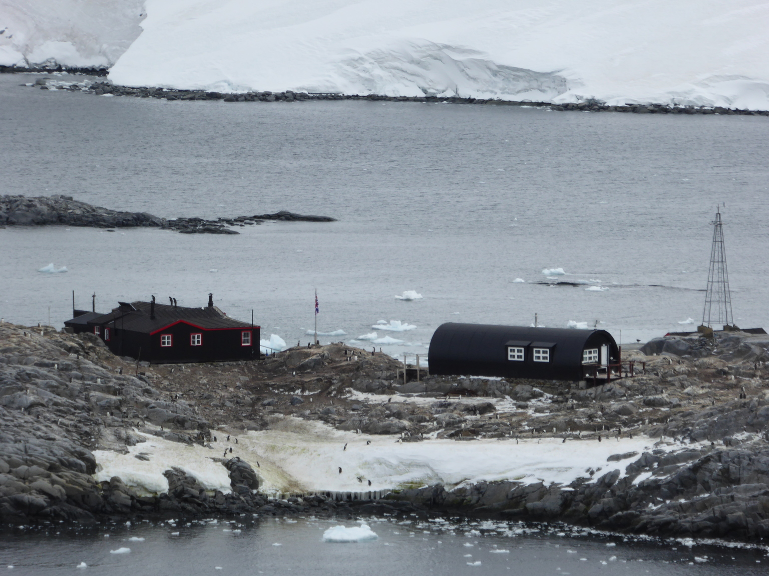 Port Lockroy, "The Penguin Postoffice." It used to be a British research station, now it's just a tourist attraction.