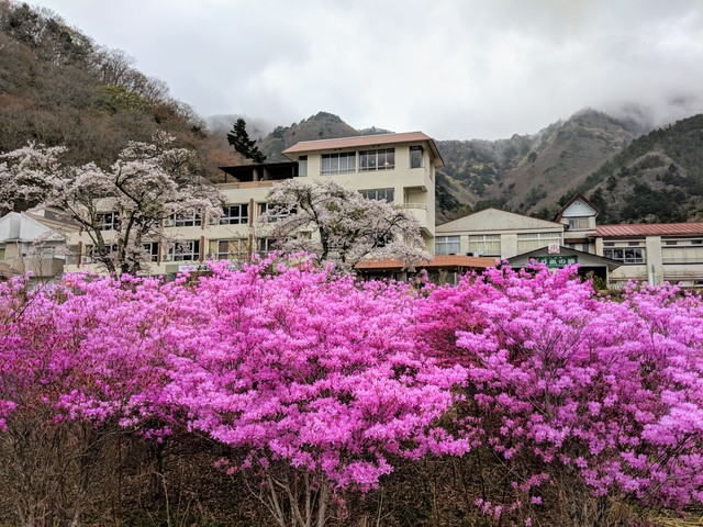 Fujikawaguchiko 2018