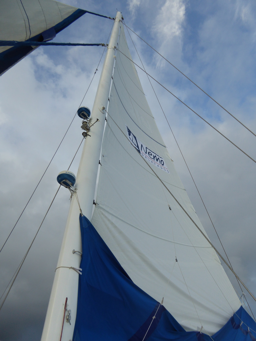 The only time they hoisted the sails on the Nemo, the boat I spent eight days on.