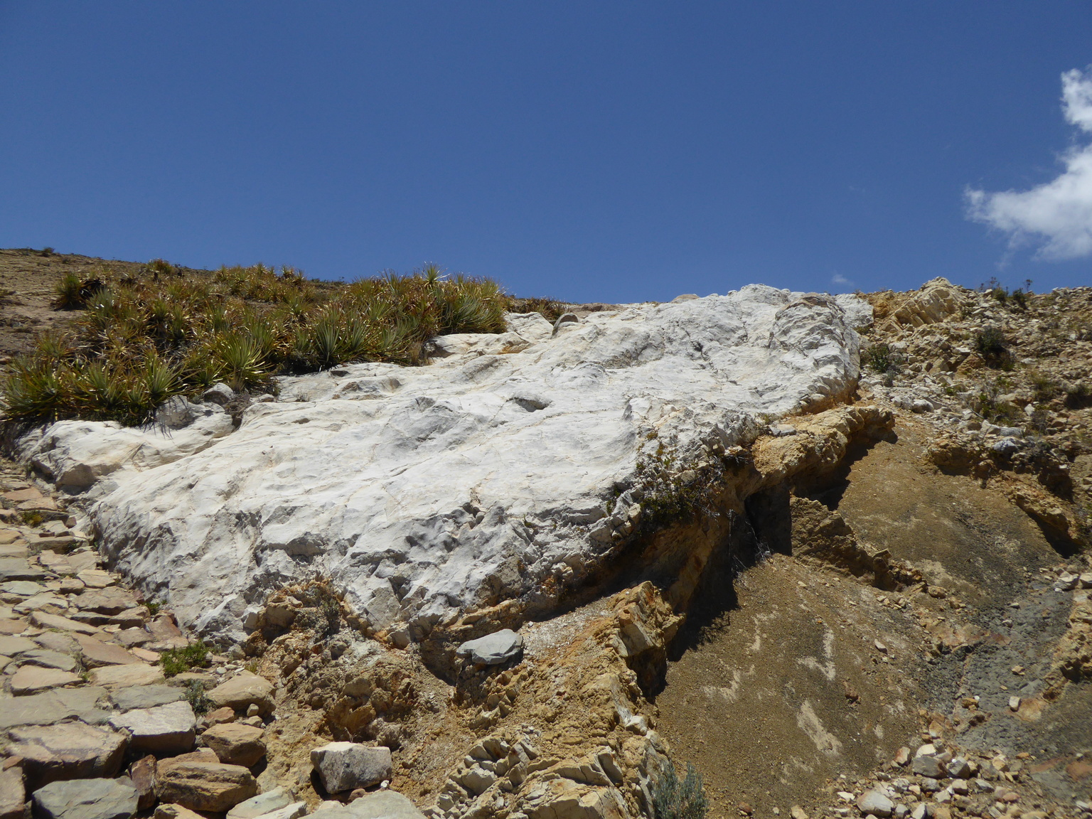 Looks like a lava flow, but it doesn't appear to be volcanic rock...