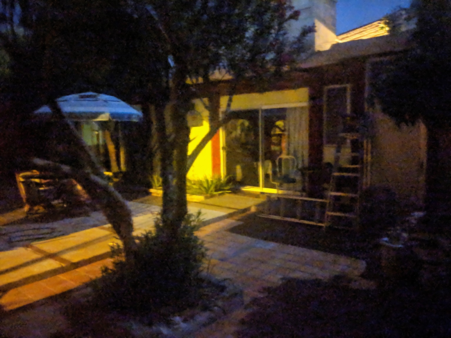 New NightSight mode on my Pixel 2. Pretty grainy, but still amazing that a phone can even capture an image with this little light.