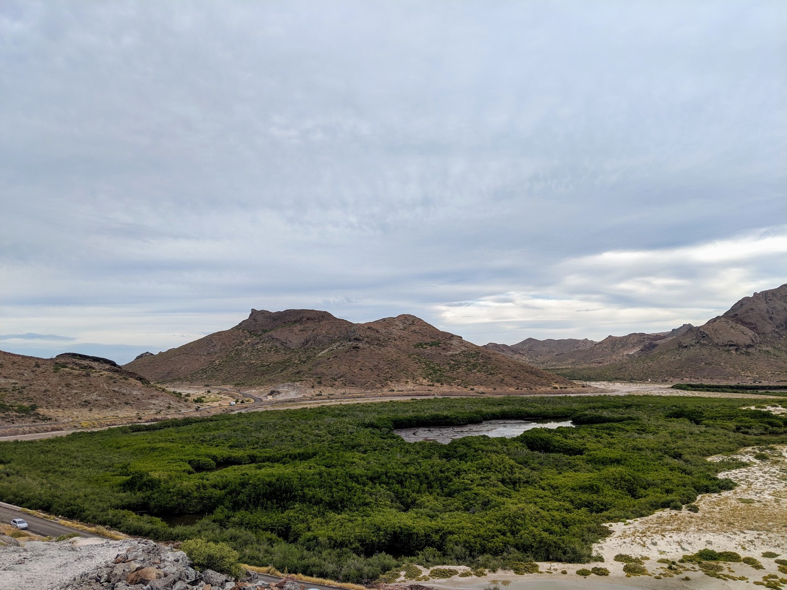 Mangroves behind Belandra bay. An oasis of green in the desert.