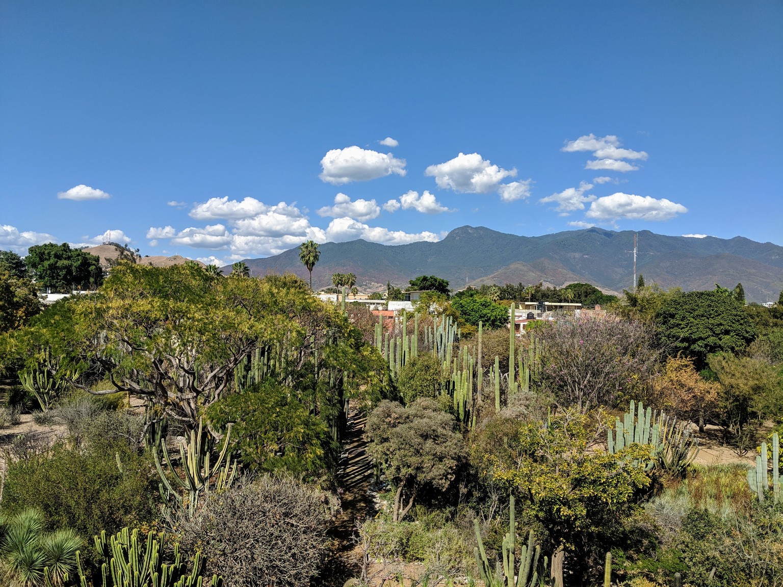The landscape of Oaxaca, looking North from the second floor of Santo Domingo.