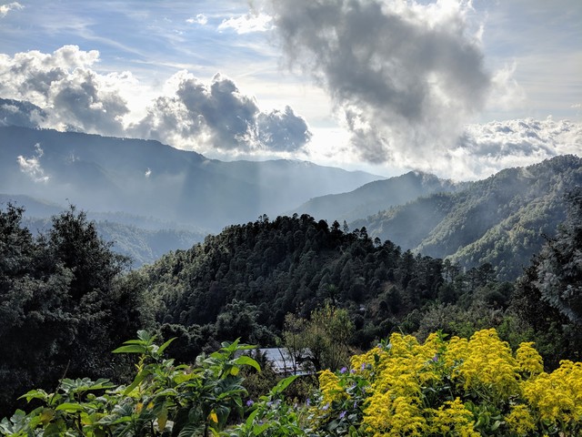 San Jose del Pacifico 2019