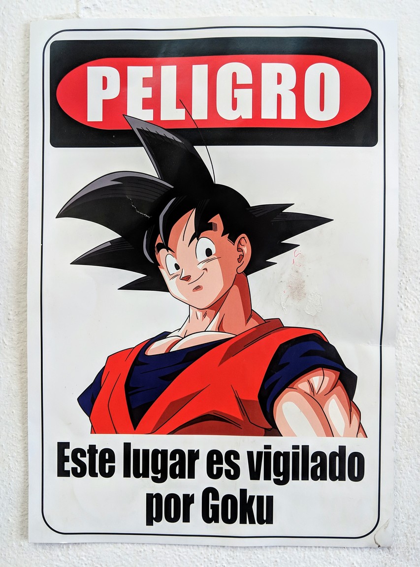 This was in the bus station, it says: "Danger, this place is guarded by Goku."