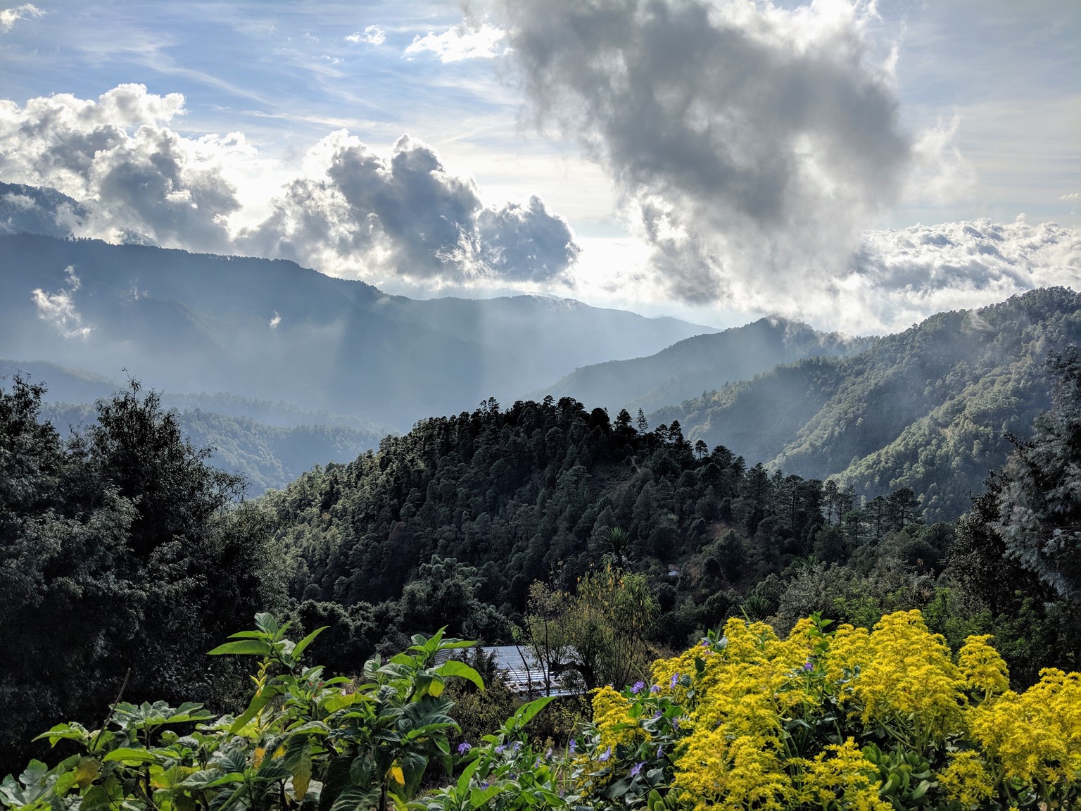 The view from in front of our little room in San Jose del Pacifico