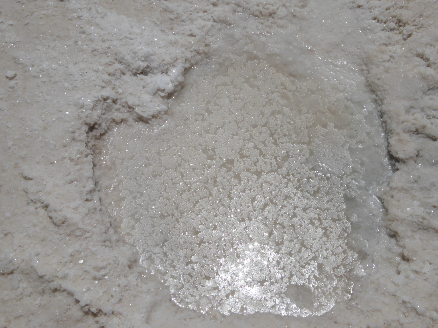 Totally looks like ice forming. Which I guess makes sense, since they are both white crystals.
