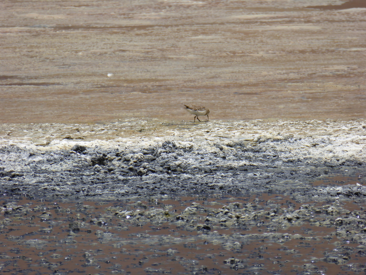 A mix of sulfur and microbes give this lagoon is strange colors.