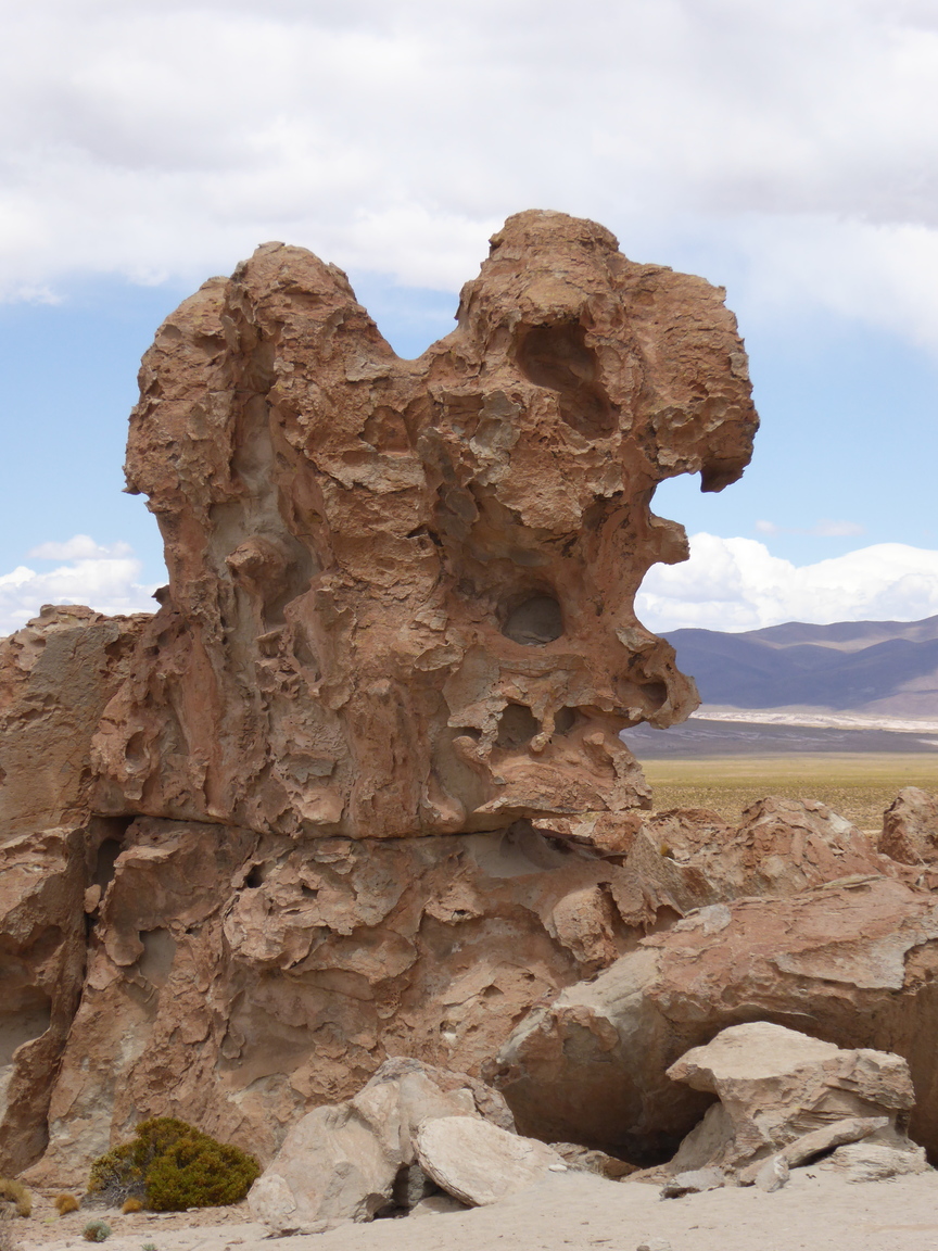 Bird rock.
