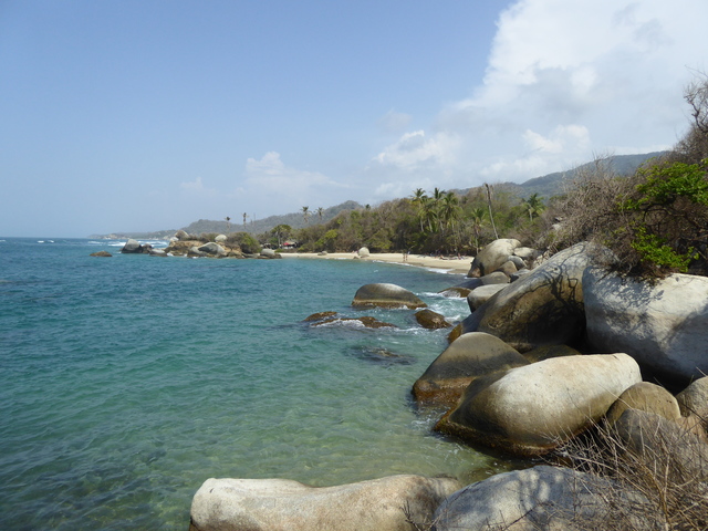 Tayrona & Palomino