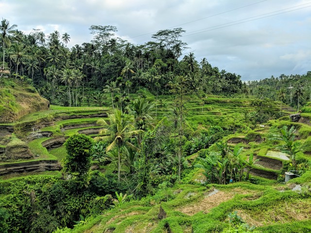 Ubud 2018