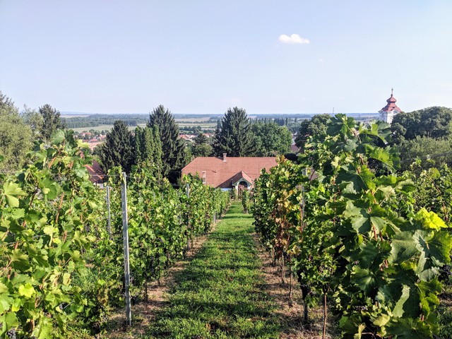 Villány 2018